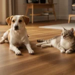 What Is the Best Flooring Type If You Have Dogs or Cats?